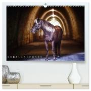 Shetlandpony Kalender (hochwertiger Premium Wandkalender 2024 DIN A2 quer), Kunstdruck in Hochglanz