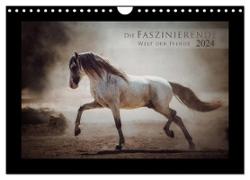 Die Faszinierende Welt der Pferde (Wandkalender 2024 DIN A4 quer), CALVENDO Monatskalender