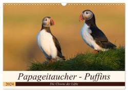 Papageitaucher - Puffins (Wandkalender 2024 DIN A3 quer), CALVENDO Monatskalender