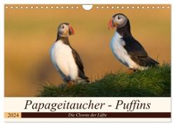 Papageitaucher - Puffins (Wandkalender 2024 DIN A4 quer), CALVENDO Monatskalender