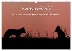 Fuchs entdeckt - im Naturparadies der Mecklenburgischen Seenplatte (Wandkalender 2024 DIN A2 quer), CALVENDO Monatskalender