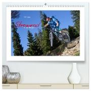 Mit dem Stromrad in den Bergen (hochwertiger Premium Wandkalender 2024 DIN A2 quer), Kunstdruck in Hochglanz
