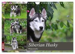 Siberian Husky - Welpenstube (Wandkalender 2024 DIN A4 quer), CALVENDO Monatskalender