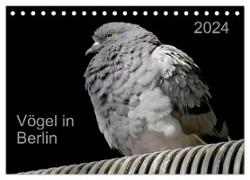 Vögel in Berlin (Tischkalender 2024 DIN A5 quer), CALVENDO Monatskalender