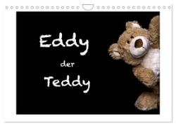 Eddy, der Teddy (Wandkalender 2024 DIN A4 quer), CALVENDO Monatskalender