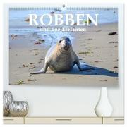 Robben und See-Elefanten (hochwertiger Premium Wandkalender 2024 DIN A2 quer), Kunstdruck in Hochglanz