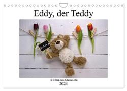 Eddy, der Teddy - 12 Bilder zum Schmunzeln (Wandkalender 2024 DIN A4 quer), CALVENDO Monatskalender