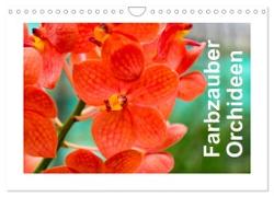 Farbzauber Orchideen (Wandkalender 2024 DIN A4 quer), CALVENDO Monatskalender