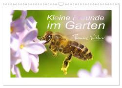 Kleine Freunde im Garten (Wandkalender 2024 DIN A3 quer), CALVENDO Monatskalender