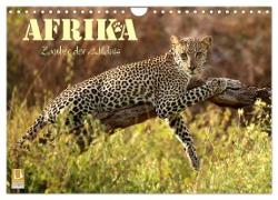 Afrika - Zauber der Wildnis (Wandkalender 2024 DIN A4 quer), CALVENDO Monatskalender