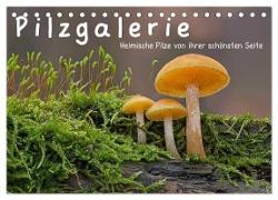 Pilzgalerie - Heimische Pilze von ihrer schönsten Seite (Tischkalender 2024 DIN A5 quer), CALVENDO Monatskalender