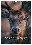 Wilde Nachbarn: Rotwild (Wandkalender 2024 DIN A4 hoch), CALVENDO Monatskalender