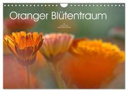 Oranger Blütentraum (Wandkalender 2024 DIN A4 quer), CALVENDO Monatskalender