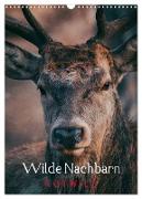 Wilde Nachbarn: Rotwild (Wandkalender 2024 DIN A3 hoch), CALVENDO Monatskalender