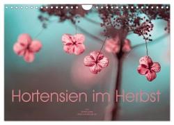 Hortensien im Herbst (Wandkalender 2024 DIN A4 quer), CALVENDO Monatskalender
