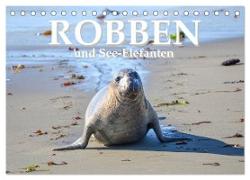 Robben und See-Elefanten (Tischkalender 2024 DIN A5 quer), CALVENDO Monatskalender