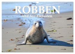 Robben und See-Elefanten (Wandkalender 2024 DIN A3 quer), CALVENDO Monatskalender