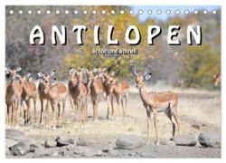 Antilopen, schön und schnell (Tischkalender 2024 DIN A5 quer), CALVENDO Monatskalender