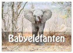 Babyelefanten (Tischkalender 2024 DIN A5 quer), CALVENDO Monatskalender