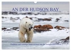 AN DER HUDSON BAY (Wandkalender 2024 DIN A3 quer), CALVENDO Monatskalender
