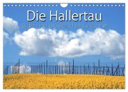 Hallertau (Wandkalender 2024 DIN A4 quer), CALVENDO Monatskalender