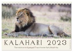 Kalahari - Tierreichtum im Kgalagadi Transfrontier Park, Südafrika (Tischkalender 2024 DIN A5 quer), CALVENDO Monatskalender