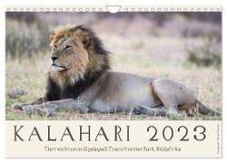 Kalahari - Tierreichtum im Kgalagadi Transfrontier Park, Südafrika (Wandkalender 2024 DIN A4 quer), CALVENDO Monatskalender