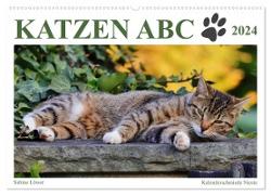 Katzen ABC (Wandkalender 2024 DIN A2 quer), CALVENDO Monatskalender