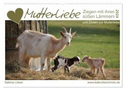 Mutterliebe - Ziegen mit ihren süßen Lämmern (Wandkalender 2024 DIN A2 quer), CALVENDO Monatskalender