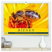 BIENEN - Kleine Nützlinge ganz groß (hochwertiger Premium Wandkalender 2024 DIN A2 quer), Kunstdruck in Hochglanz