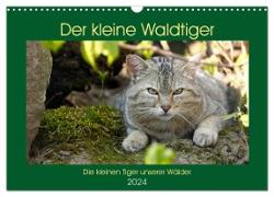 Der kleine Waldtiger (Wandkalender 2024 DIN A3 quer), CALVENDO Monatskalender