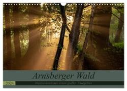 Arnsberger Wald (Wandkalender 2024 DIN A3 quer), CALVENDO Monatskalender