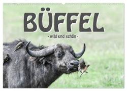 Büffel - wild und schön (Wandkalender 2024 DIN A2 quer), CALVENDO Monatskalender