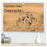 Faszinaton Afrika: Geparde (hochwertiger Premium Wandkalender 2024 DIN A2 quer), Kunstdruck in Hochglanz