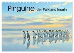 Pinguine der Falkland Inseln (Wandkalender 2024 DIN A3 quer), CALVENDO Monatskalender