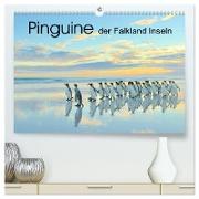 Pinguine der Falkland Inseln (hochwertiger Premium Wandkalender 2024 DIN A2 quer), Kunstdruck in Hochglanz