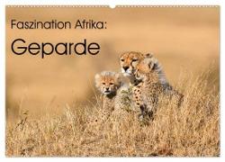 Faszinaton Afrika: Geparde (Wandkalender 2024 DIN A2 quer), CALVENDO Monatskalender