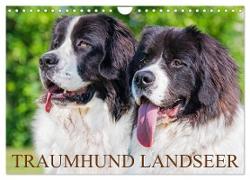 Traumhund Landseer (Wandkalender 2024 DIN A4 quer), CALVENDO Monatskalender
