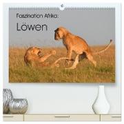 Faszination Afrika: Löwen (hochwertiger Premium Wandkalender 2024 DIN A2 quer), Kunstdruck in Hochglanz