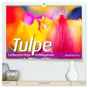 TULPE Farbenprächtige Frühlingsbotin (hochwertiger Premium Wandkalender 2024 DIN A2 quer), Kunstdruck in Hochglanz