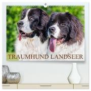 Traumhund Landseer (hochwertiger Premium Wandkalender 2024 DIN A2 quer), Kunstdruck in Hochglanz