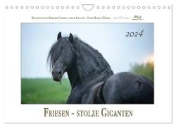 Friesen - stolze Giganten (Wandkalender 2024 DIN A4 quer), CALVENDO Monatskalender