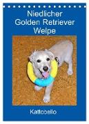 Niedlicher Golden Retriever Welpe (Tischkalender 2024 DIN A5 hoch), CALVENDO Monatskalender