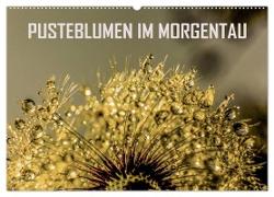 Pusteblumen im Morgentau (Wandkalender 2024 DIN A2 quer), CALVENDO Monatskalender