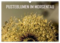 Pusteblumen im Morgentau (Wandkalender 2024 DIN A3 quer), CALVENDO Monatskalender