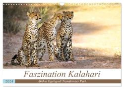 Faszination Kalahari (Wandkalender 2024 DIN A3 quer), CALVENDO Monatskalender