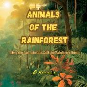 Animals of the Rainforest