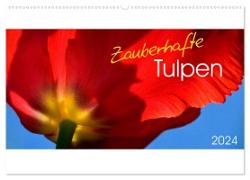 Zauberhafte Tulpen (Wandkalender 2024 DIN A2 quer), CALVENDO Monatskalender