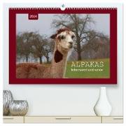 Alpakas - liebenswert und schön (hochwertiger Premium Wandkalender 2024 DIN A2 quer), Kunstdruck in Hochglanz