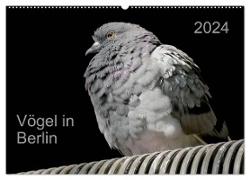 Vögel in Berlin (Wandkalender 2024 DIN A2 quer), CALVENDO Monatskalender